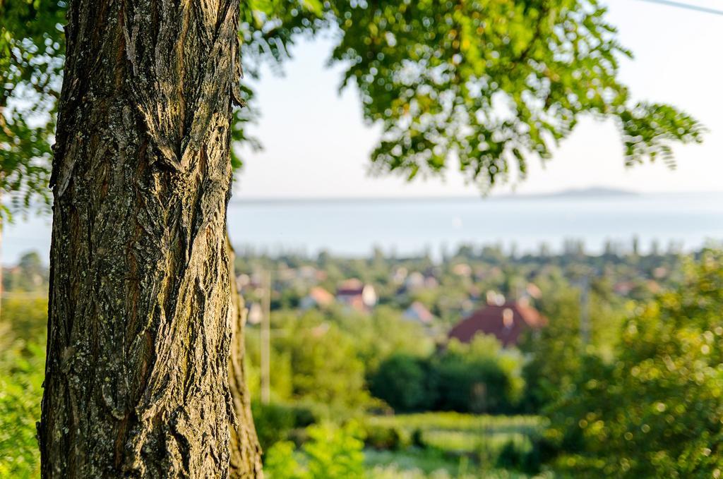 Hillside Apartments Révfülöp 外观 照片